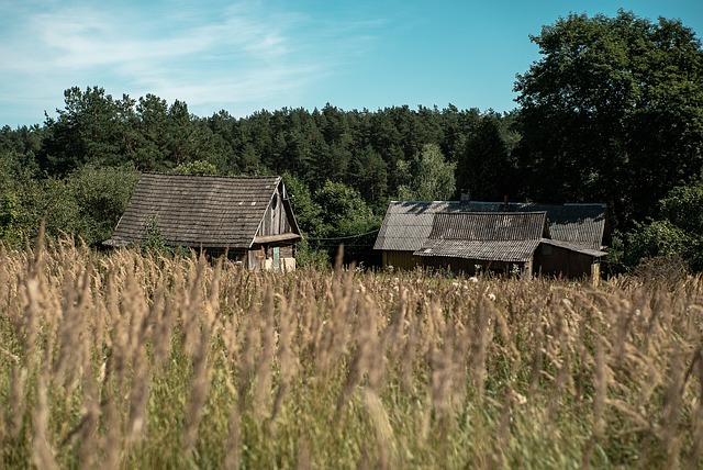 building a guest house in phoenix 2026