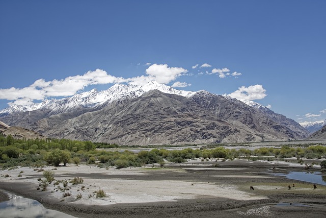 buy-and-hold areas west valley phoenix