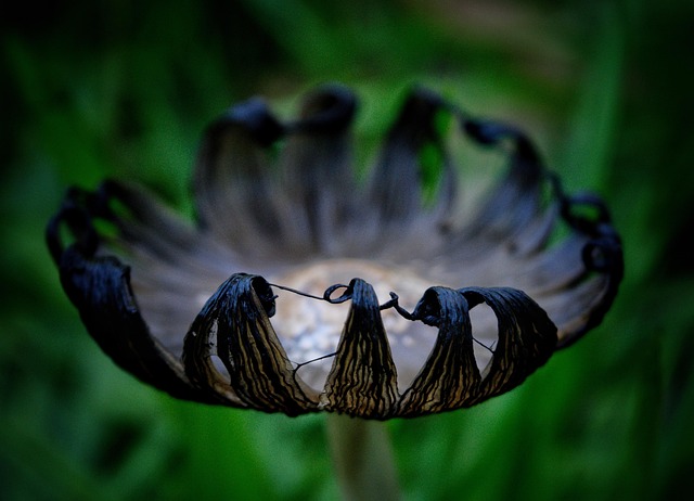 Unlock Real Estate Secrets: Demystifying Cap Rate for Buyers