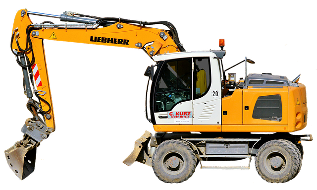 Capital gains exemption