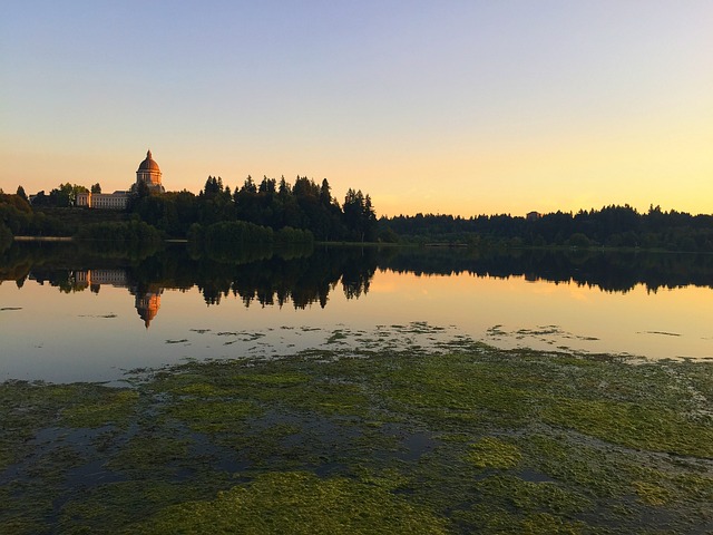 capital improvements