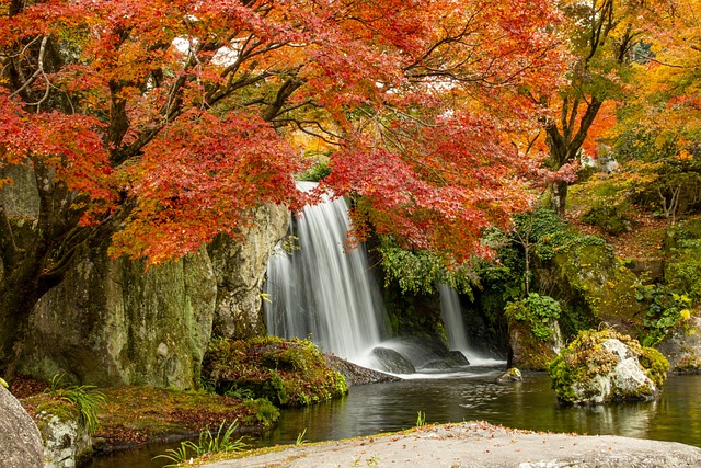 cave creek homes for sale