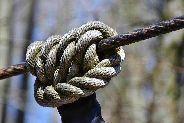 central phoenix high rise security and valet