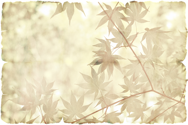 certificate of occupancy