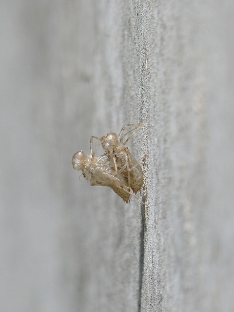 change of address checklist