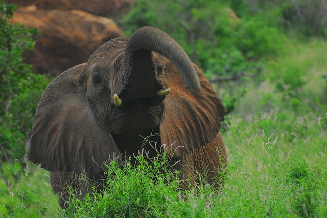 Community park proximity