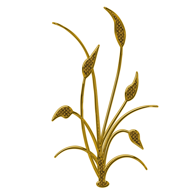 conditional use permit