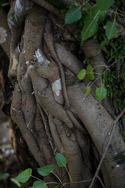 Custom-built inventory