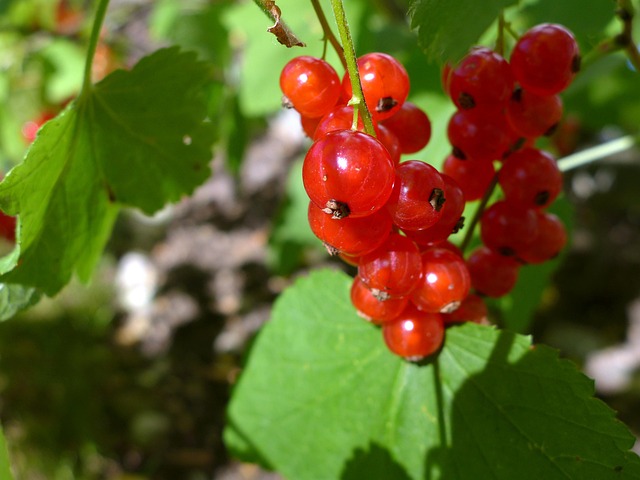 Calculate NOI: Maximize Returns with Debt Yield Analysis