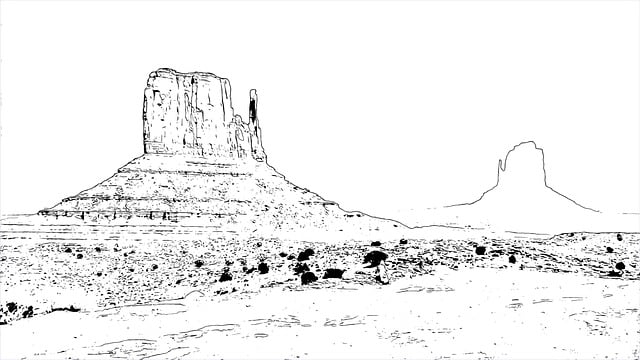 Desert landscape design