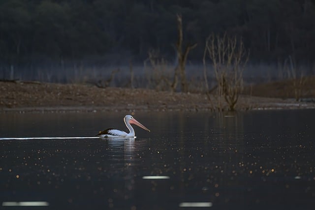 Navigating Direct Bill Relocation: Your Seamless Journey Begins