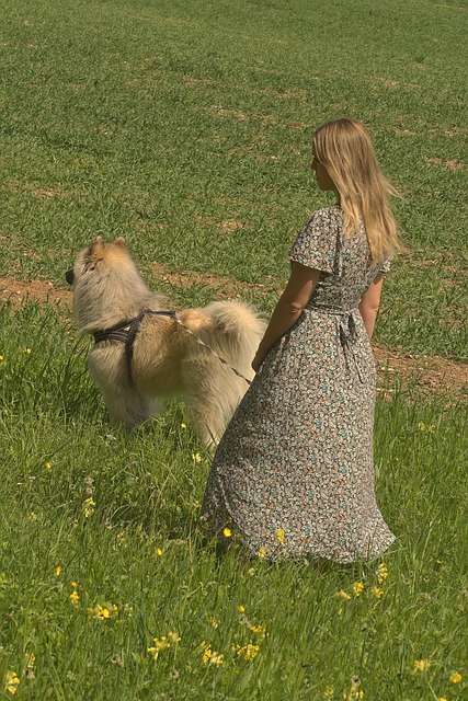 downtown phoenix walk score for professionals