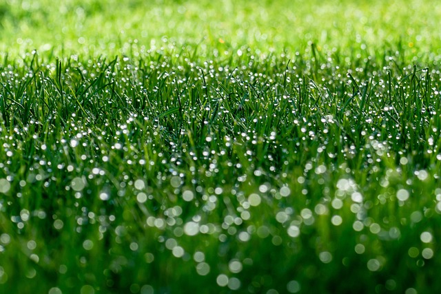 Mastering 1031 Exchanges: Due Diligence Essentials & Maximize Benefits