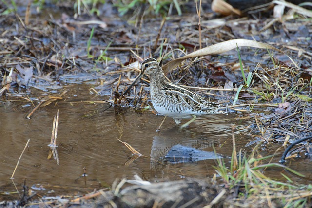 energy efficient hvac systems for az homes