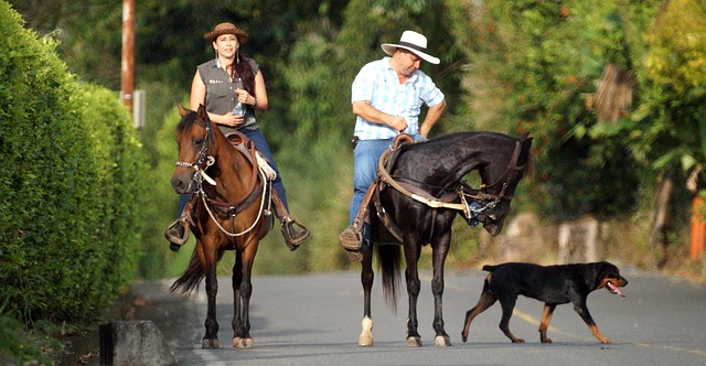 Equestrian-friendly zoning