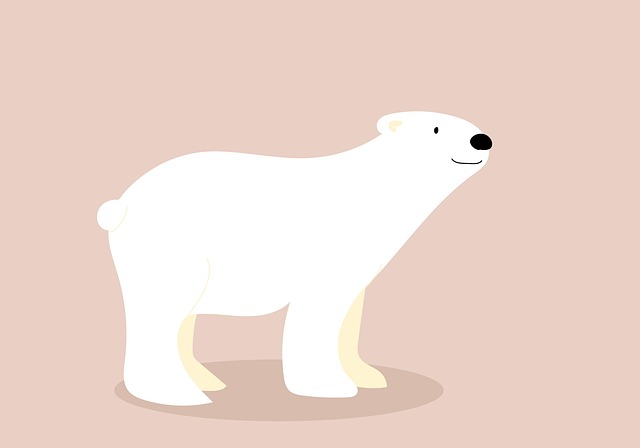 Escaping the polar vortex