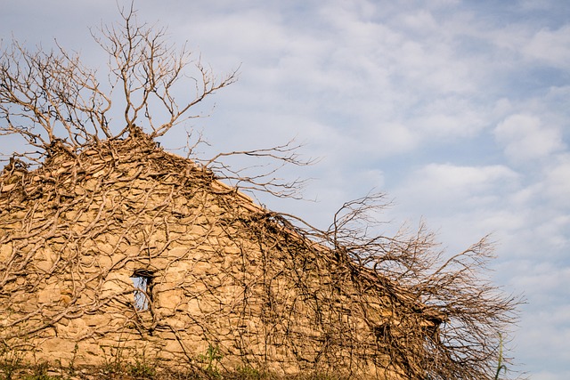 Find Your Dream Home: Expert Realtor Guidance for First-Time Buyers