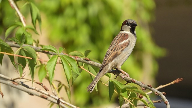 Find Top Realtor: Sell Your Home Effortlessly