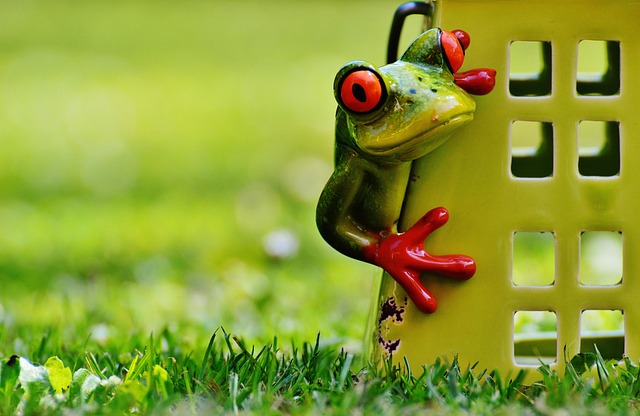 find a realtor to sell my house