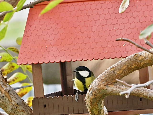 find a realtor to sell my house