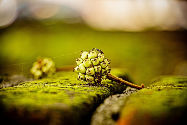 gross rent multiplier