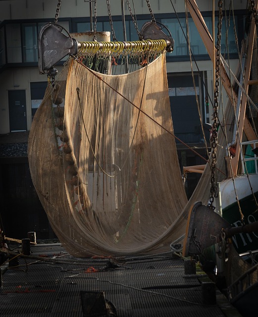 high net worth relocation to arizona 2026