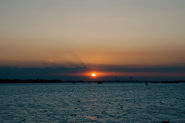 homes for sale sun city west