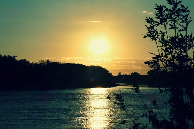 homes for sale sun city west