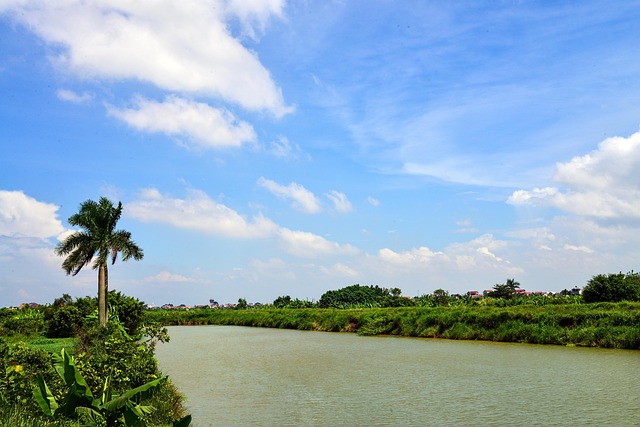 Quiet Zones & Backup Power: Peaceful Living Near Mayo Clinic Discovery Oasis