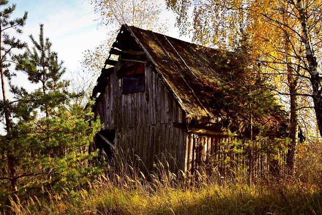 Unlock Homestead Exemption: Modern Guide for Consumers