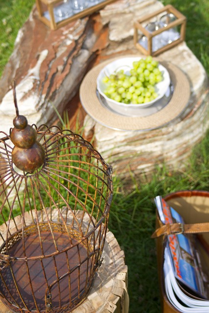 Mastering the Housing Market: Expert Strategies for Homeowners