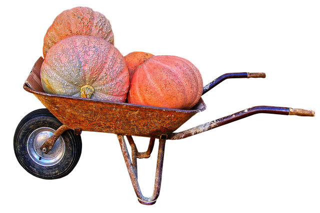 how much do realtors charge