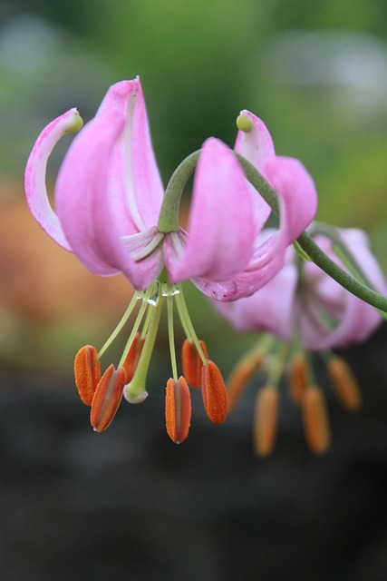 how much do realtors charge