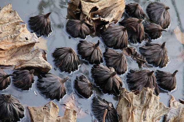 how much do realtors charge