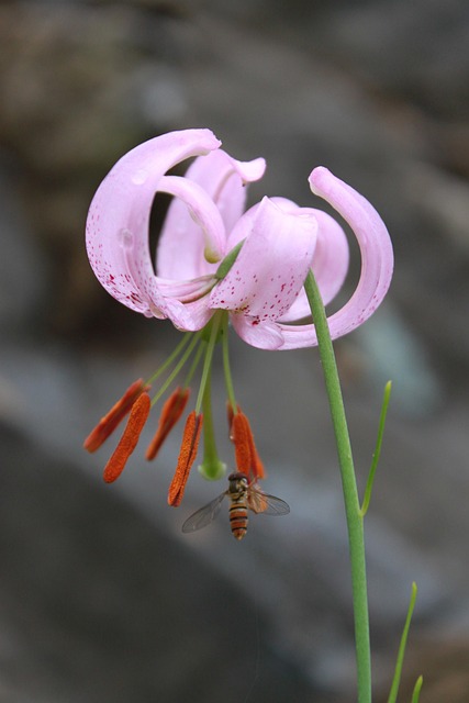 how much do realtors charge