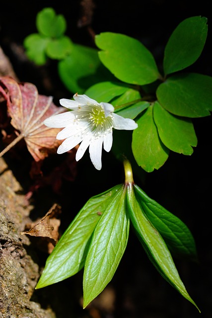 how much do realtors charge