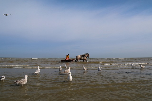 hvac replacement cost