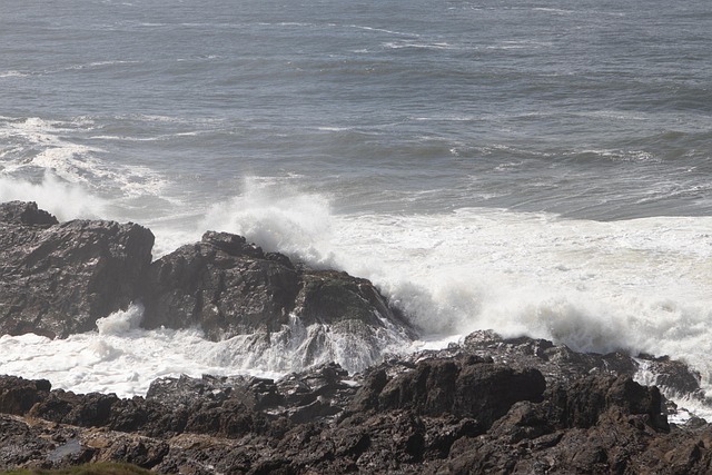 Impact Fees: Unraveling Borrower Choices in Lending Trends