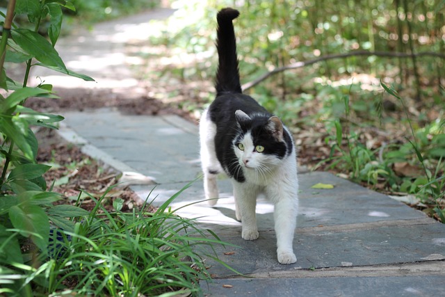 Mastering Inspection Contingency in Real Estate Investing Basics