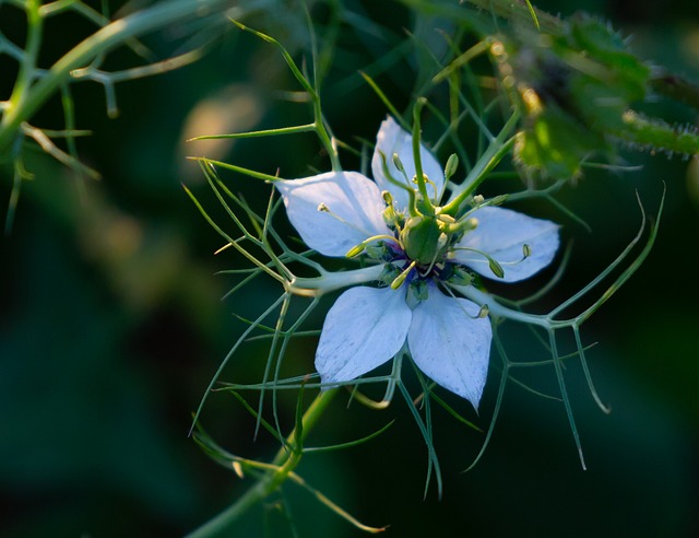 living in a phoenix vertical garden condo