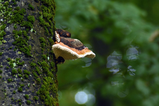 living near mesa gateway aerospace hub