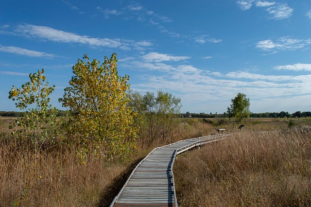 living near phoenix mountain preserve trails