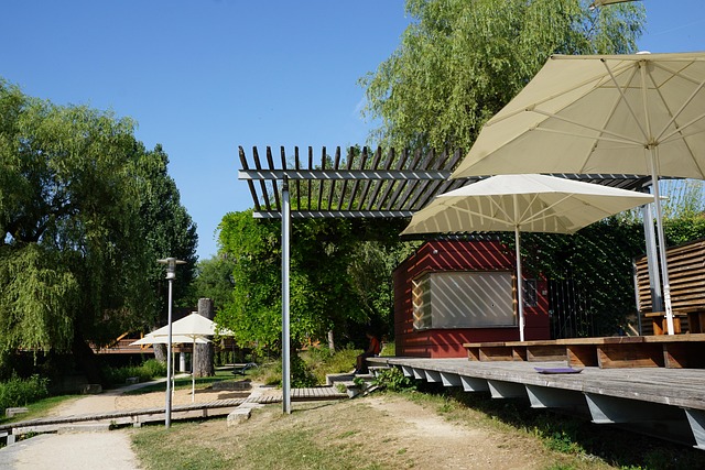 Relocate to Gilbert: Local Movers & Community Resources Await