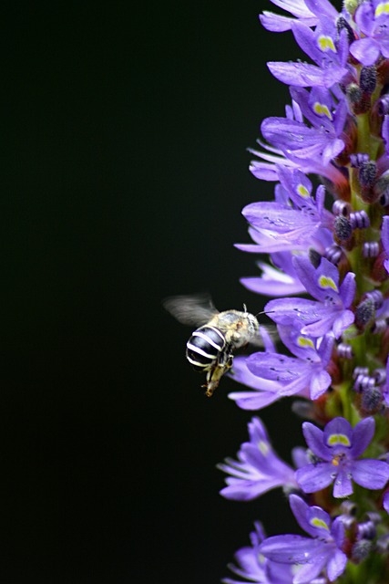 Lock-and-leave living