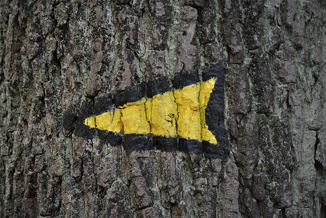 long distance movers