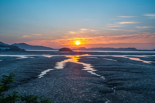 Low-maintenance landscaping