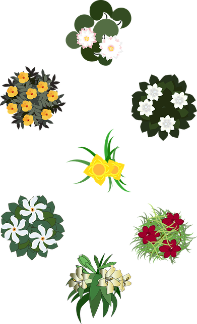 Low-maintenance landscaping