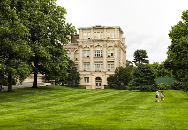 Low-maintenance landscaping