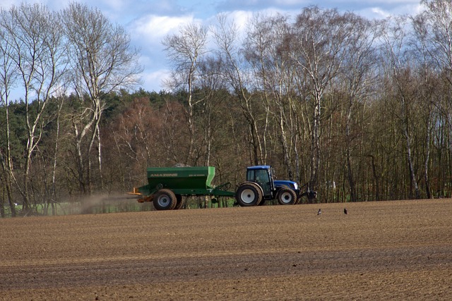 Low-maintenance landscaping
