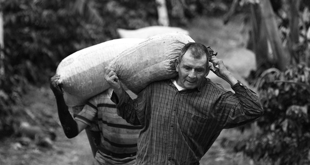 lucid motors employee housing casa grande